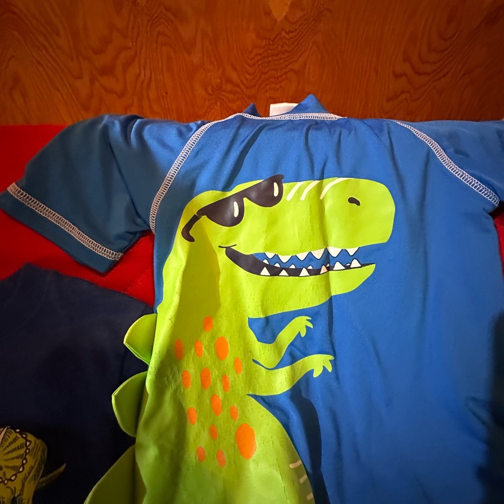 Dinosaur bundle - Picture 2 of 2